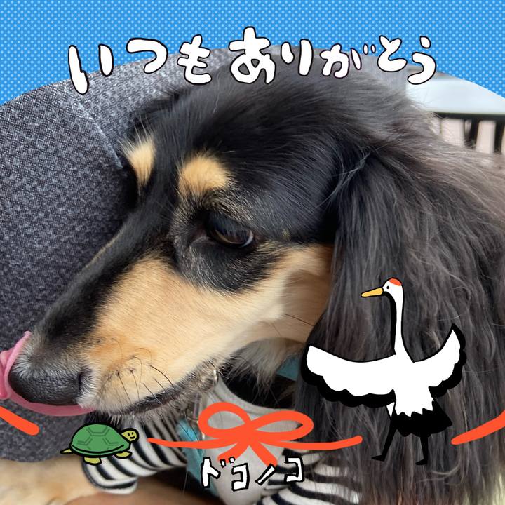 279a8167 ee34 483d be00 f15097790afb 1726958146231