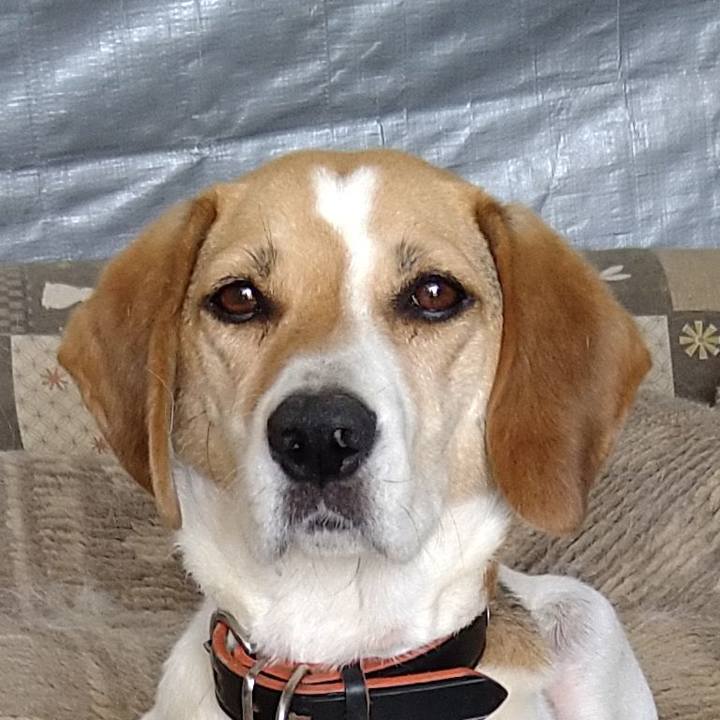 279a9460 5e45 44e1 be41 632f2447a7e3 1626147212435