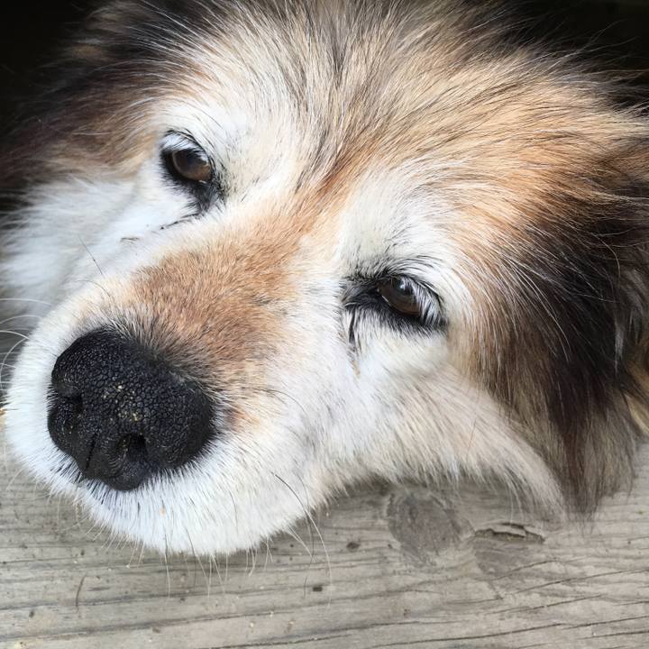 279adbb3 177a 4f19 8d89 2915f29c992f 1570148649330