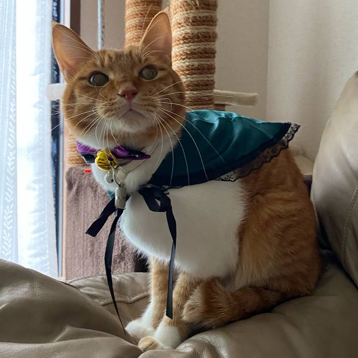 279af188 e92c 4162 8a75 423c820efe0a 1635326853535