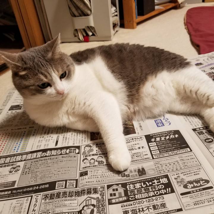 279b7e82 4585 4278 b10b 85c21f5508f5 1629715364233