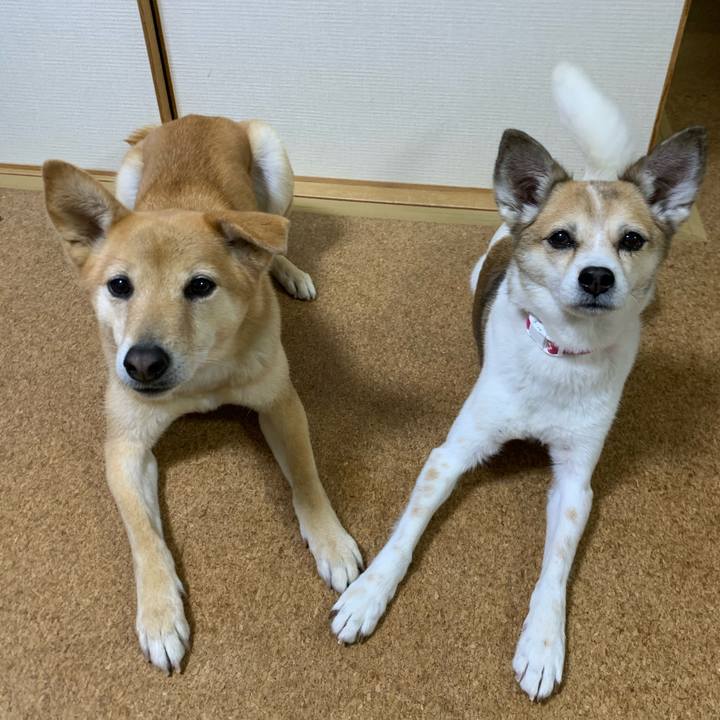 279ba29f 20f9 4392 b1f9 72652de9bc57 1614426876129