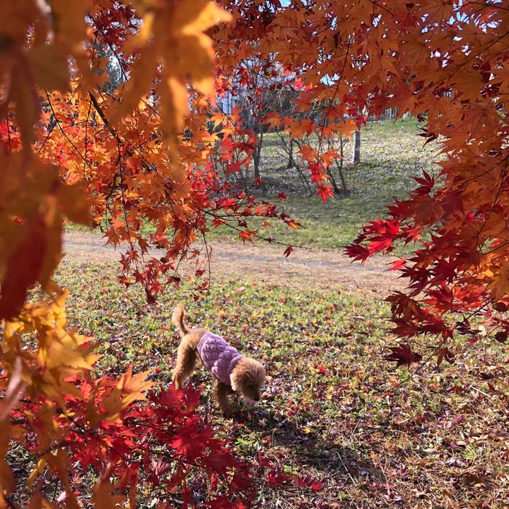 279c3a88 5169 4a65 adb7 a7ca6e1f1445 1575769541099