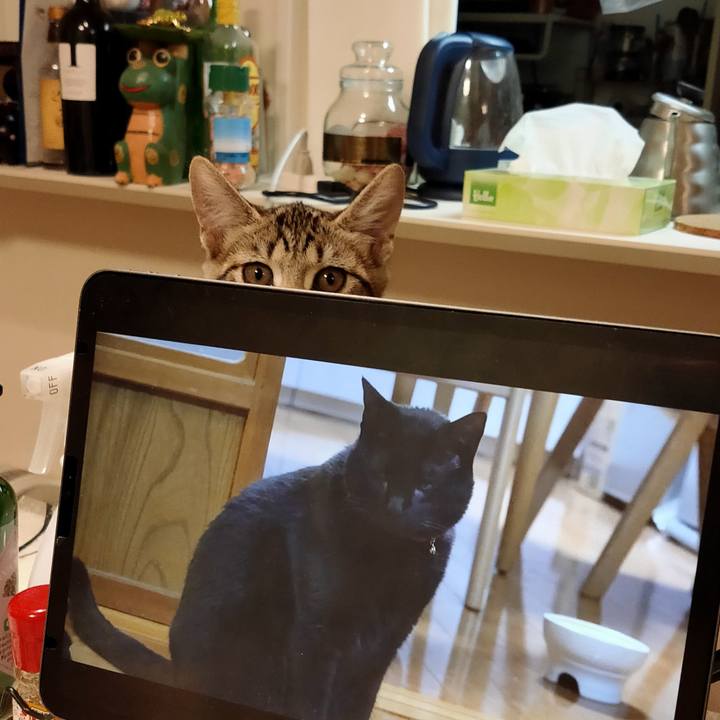 279c622e a984 4909 9f03 fe844b108d19 1627735489856