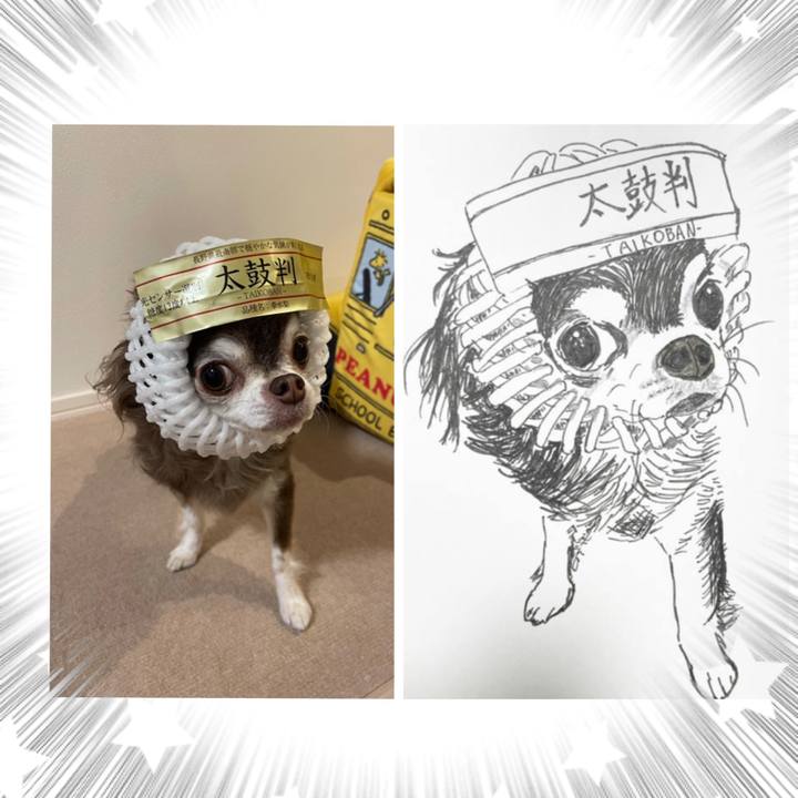 279c7bf3 9ed9 4902 96ca 7398b7cf6bb2 1636968672970