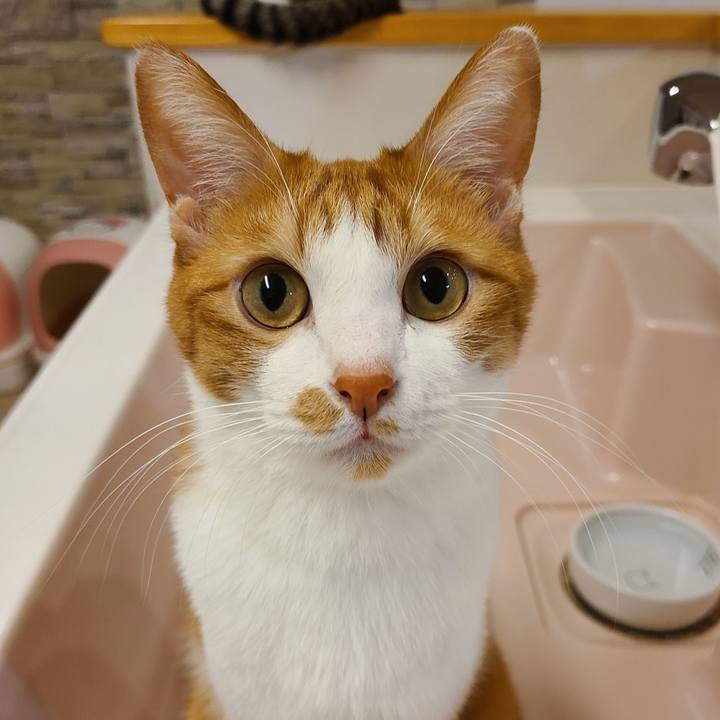 279c85f5 87a7 4491 afea 94476e07f587 1603371602413