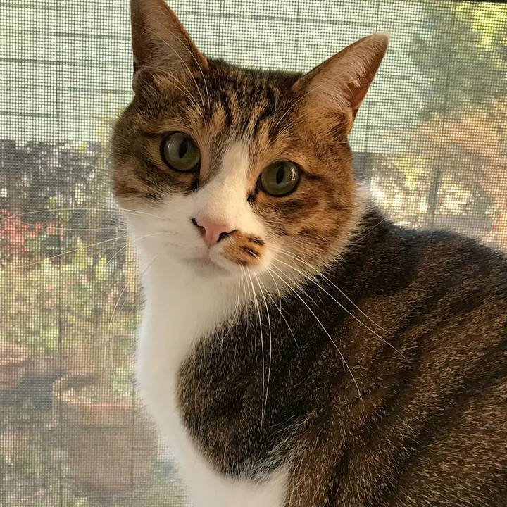 279c9c5e 4a75 4c1e b257 47bbbaacc28f 1515043223321