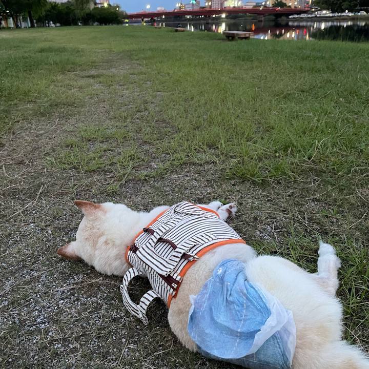 279cb208 eaa4 4336 af77 398a6c5243a5 1659704413823