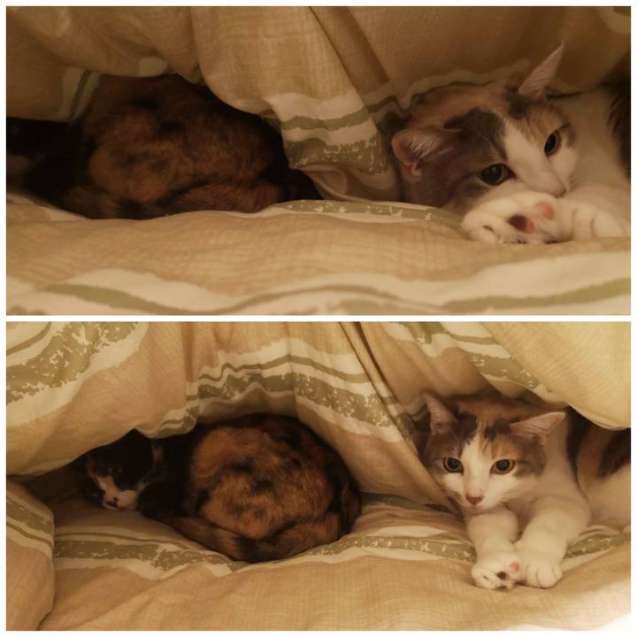 279cd262 5b87 46b7 a21a 1e008461d317 1611548029982