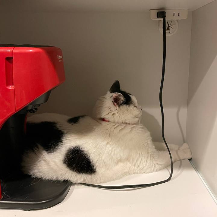 279cd70e 7383 4cd8 af88 abe31b32cf52 1619260199795