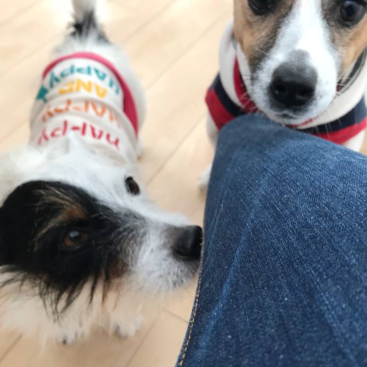 279ce559 71b5 46c6 b774 df34b277f21f 1513645659353