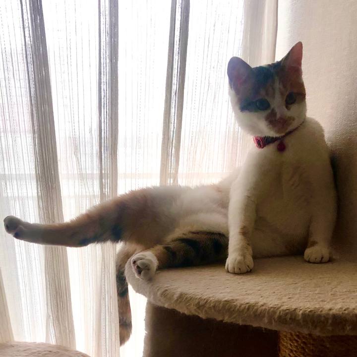 279cfd34 b4a0 4798 ade7 5f73404c4260 1575692082127