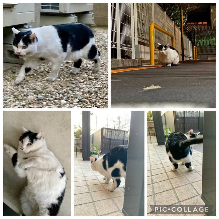 279d043a 0877 4780 917f e9e576fceeb2 1768215340193