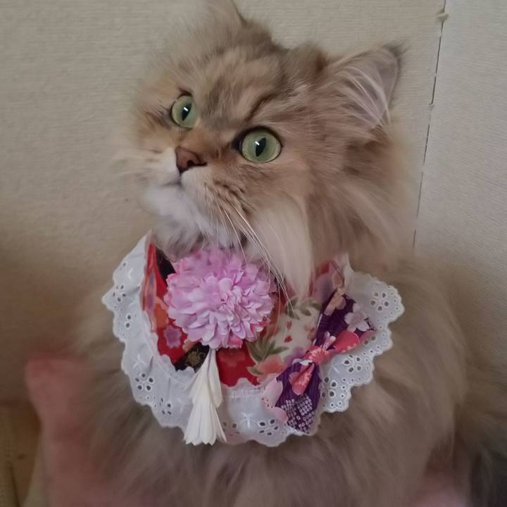 279d201d 77d8 4d6b 9a03 2f80e73b1d6b 1611547812847