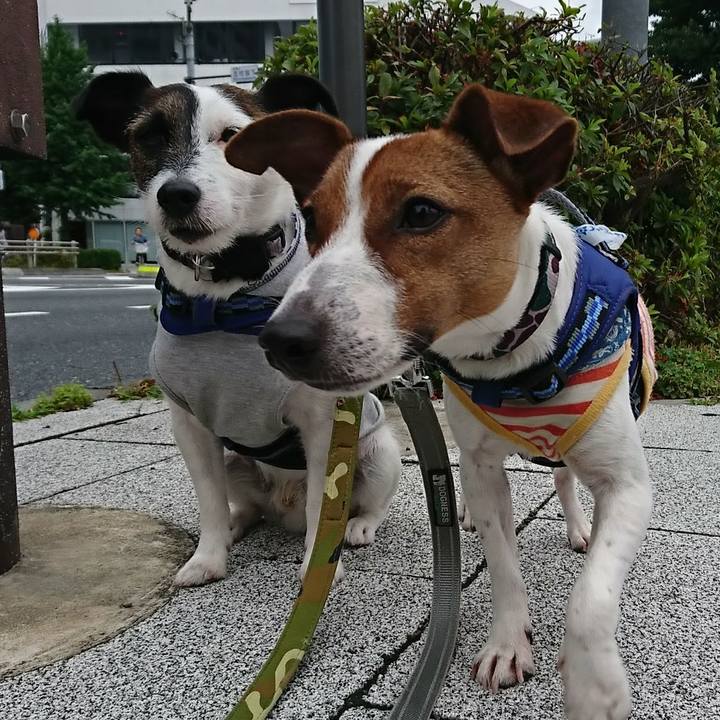 279d3134 c38a 41f6 83cf 5ad47b6fcffa 1528587734716