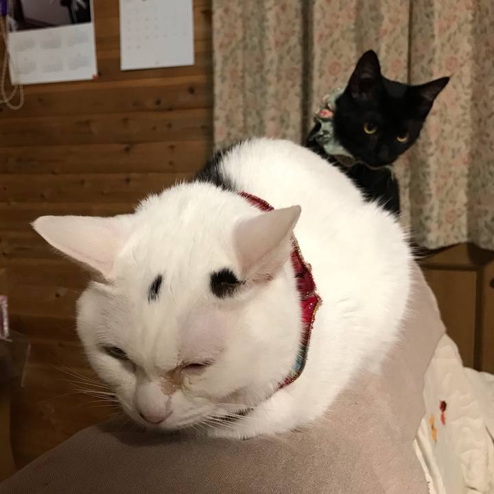 279d4249 1ffa 43e1 a91a 1bf6655702fe 1568285088035