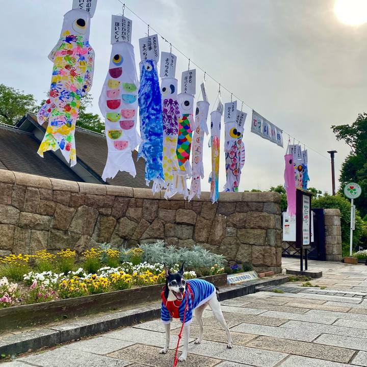 279d5b6c 7eae 4201 81b2 17fd6e65944e 1620171098792