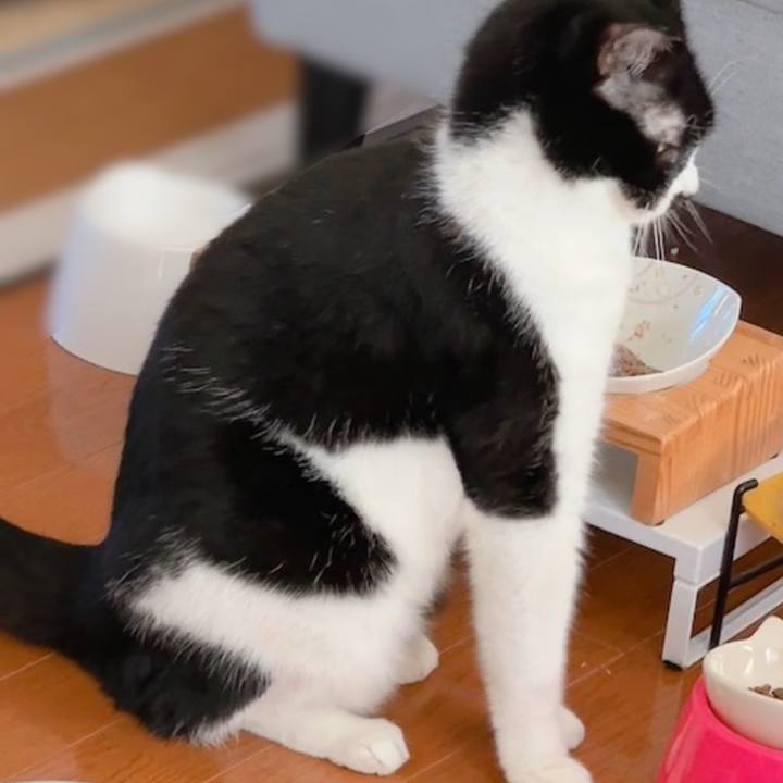 279d640e 45a2 49e3 85fe f5ac6c986bd0 1739074935588