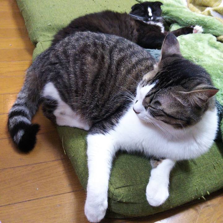 279d8e19 c1e9 42de 87cb 419301586644 1643792023684