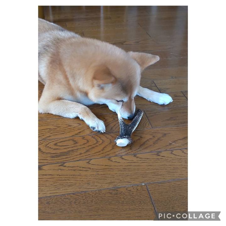 279dbf30 0d2c 435a 8b6a 51c57ce033ae 1683016430595