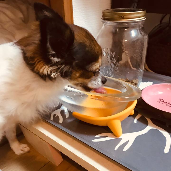 279de1ca 38be 4730 b363 7614cdd278d4 1541330263733