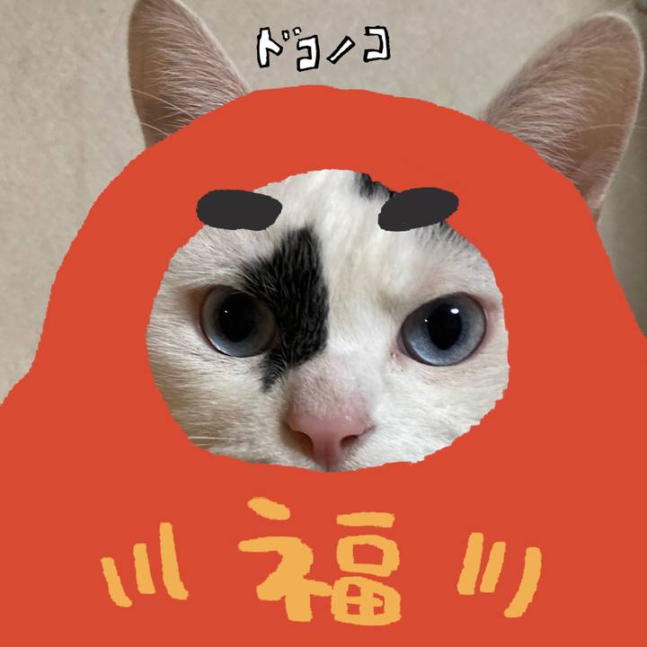 279e031a 6924 4a92 8627 8030cd8dc5ed 1771906734031