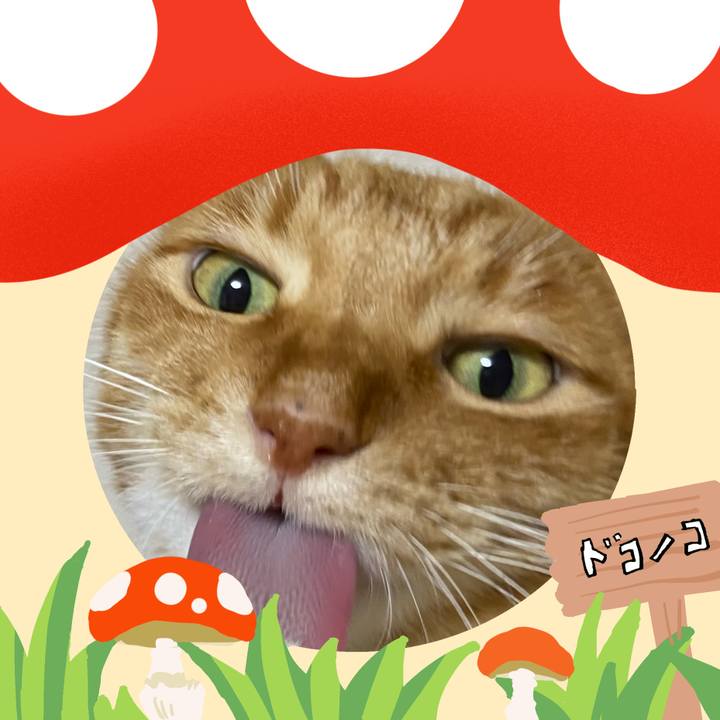 279e5beb 8162 4d81 be6a 308fcd9c817d 1730512778176