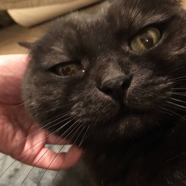 279e60bb c382 4177 a078 0351398efb3e 1548867295615