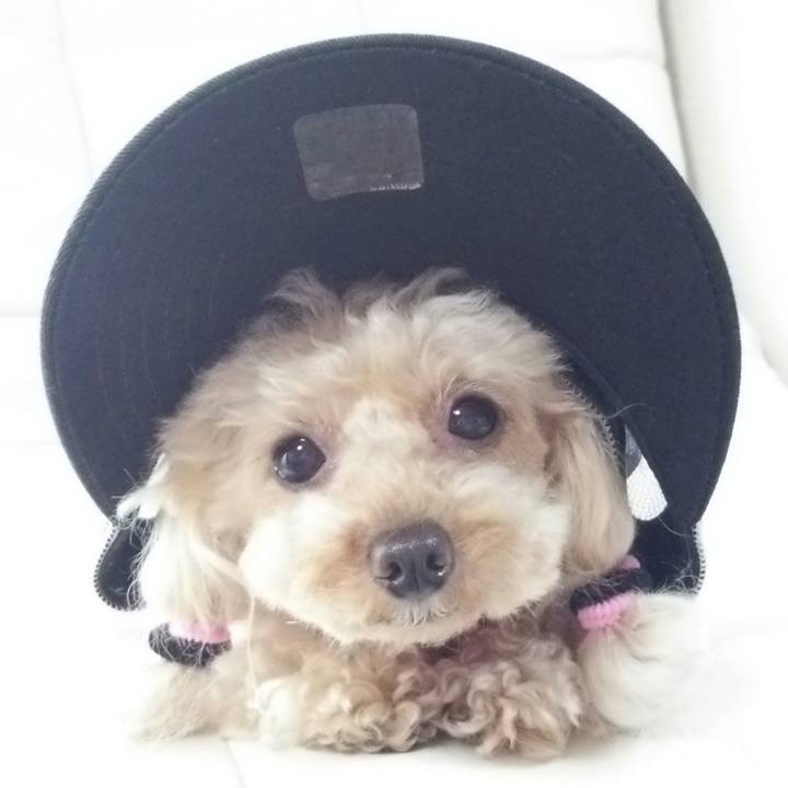 279e85be c954 4833 93e2 ee6811694ecb 1532934062828