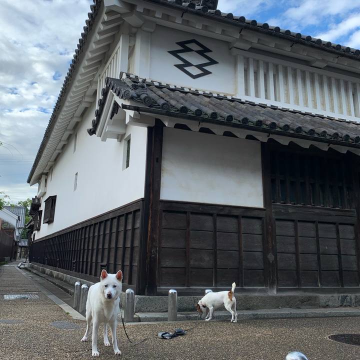 279e961d 2da1 47fa a768 f1bdf2bd8589 1571700637205