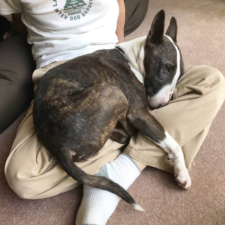 279ec7f7 2ed8 4c53 9d87 ab44e1613f6d 1524365859161