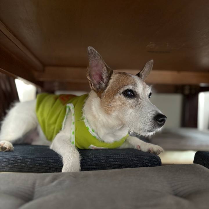 279ed8ae a73f 41de a9b3 61a993fd05e5 1750289982258