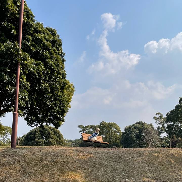 279ef706 b8a8 4426 a92e 3b2c9fa0ac84 1646800691787