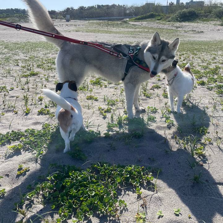 279efbff c41c 4055 aa8c 187c94584c20 1715733851301