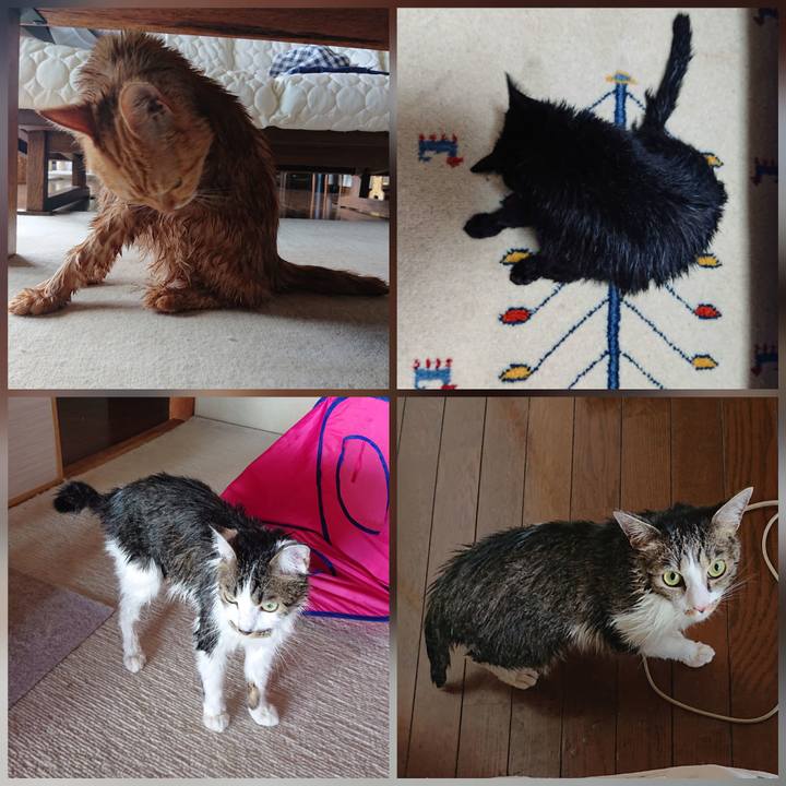 279f00ed d178 4509 a566 44de8c1e64e5 1597039330344