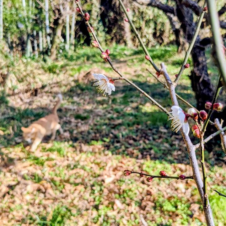 279f07d6 6458 4aff 96ef 72e3d9caa810 1768626579192