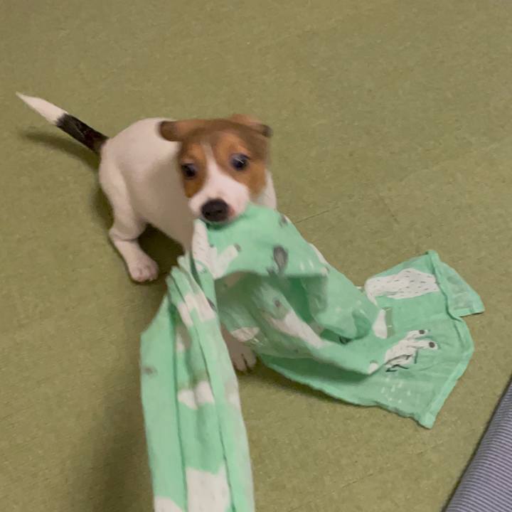 279f101e 7ca6 46d1 a231 4be162a8b53b 1666354543422