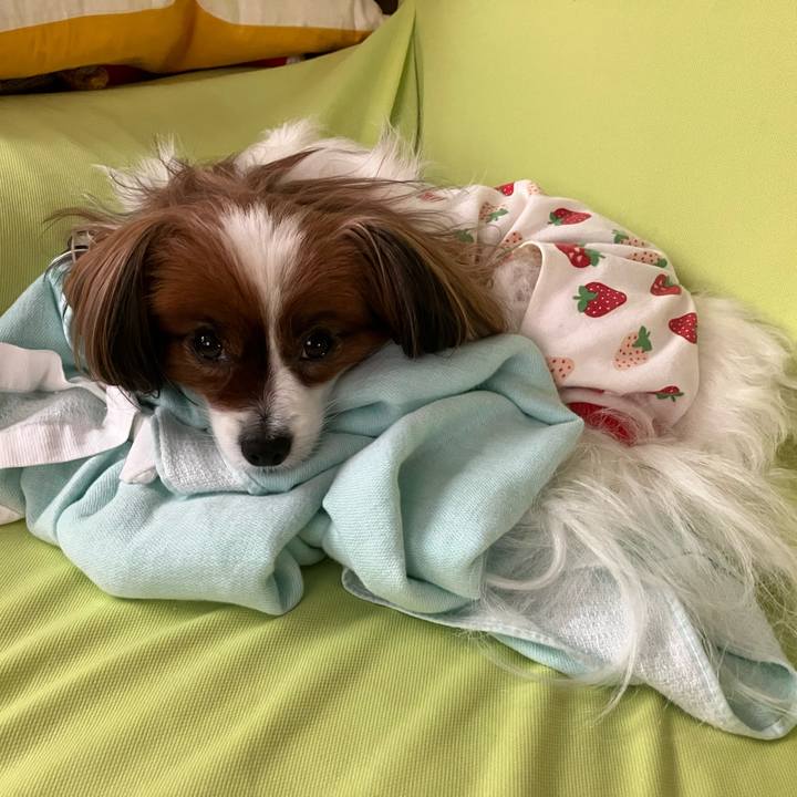 279f113b 8c63 4824 bc99 f6e1d84689aa 1727135058197