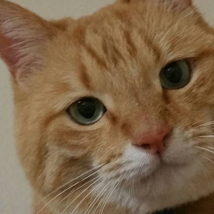 279f1e4b 51a0 490d bf28 1aba9d394584 1580545957506