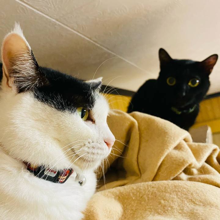 279fdbb0 34af 422b 950f 885a500f44f7 1666357788593