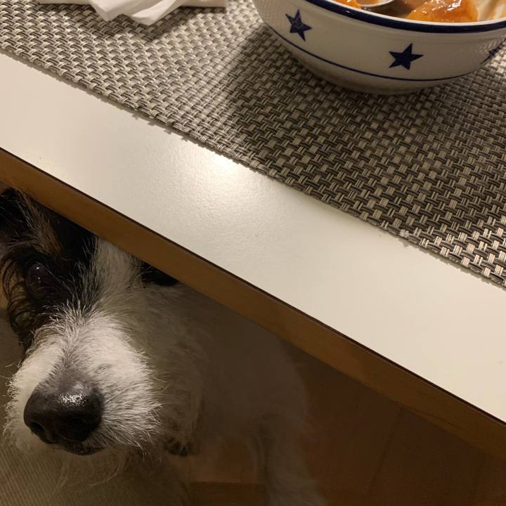 279fe733 4f68 4375 bf2a 8e4833af8554 1677061007632