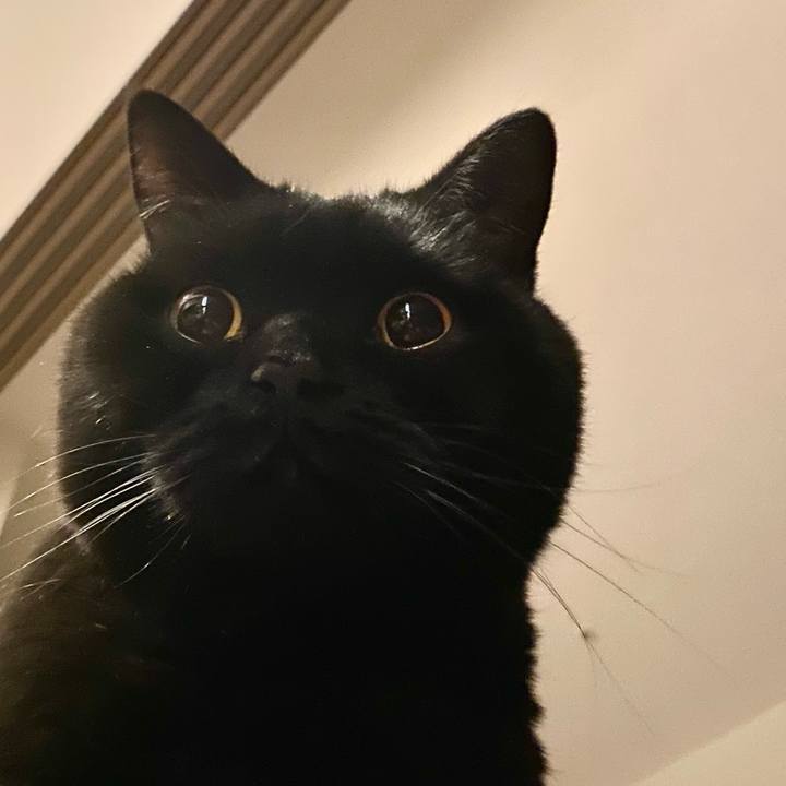 27a01a32 d3ca 4727 8f37 9ef7028d7864 1703416296071