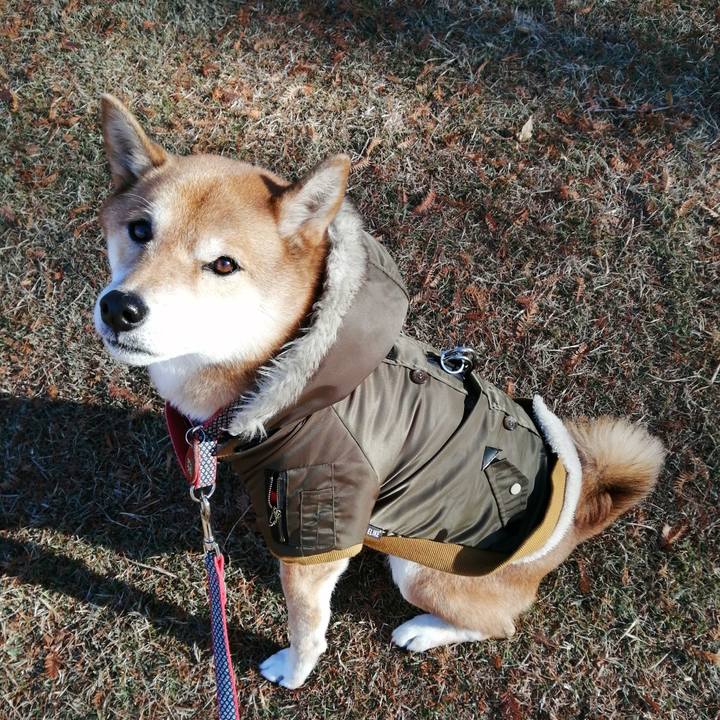 27a036b7 522e 41b7 8275 c76bedabf791 1608165581932