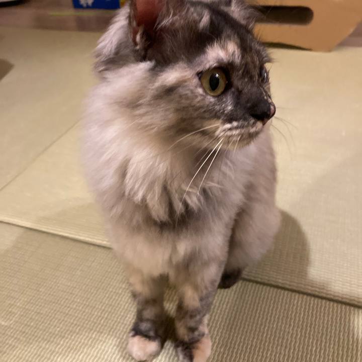 27a037a2 b0ea 4504 8a21 5579df9ad854 1705204719680