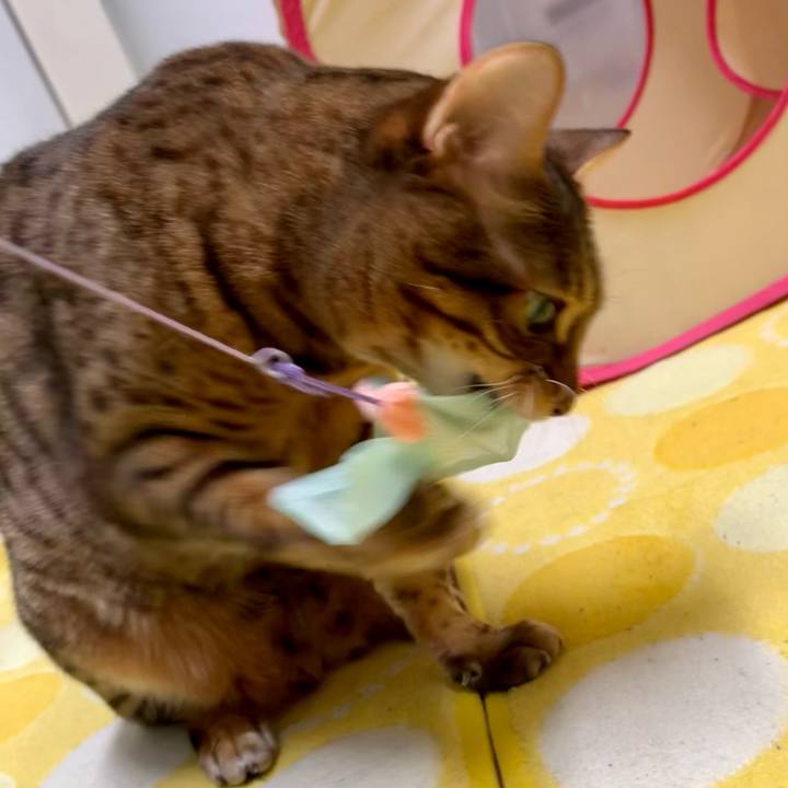 27a0557c 47fe 4b06 81b1 89afb74784c2 1655547258658