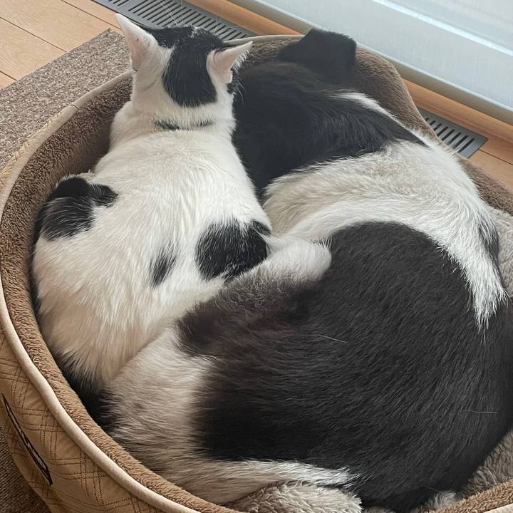 27a05623 4f00 44ca 9798 52c25f0cf8e6 1767015402763