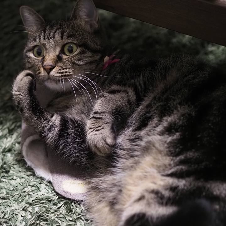 27a0798c 40bb 4dd7 9537 d31b1be86637 1635255072361