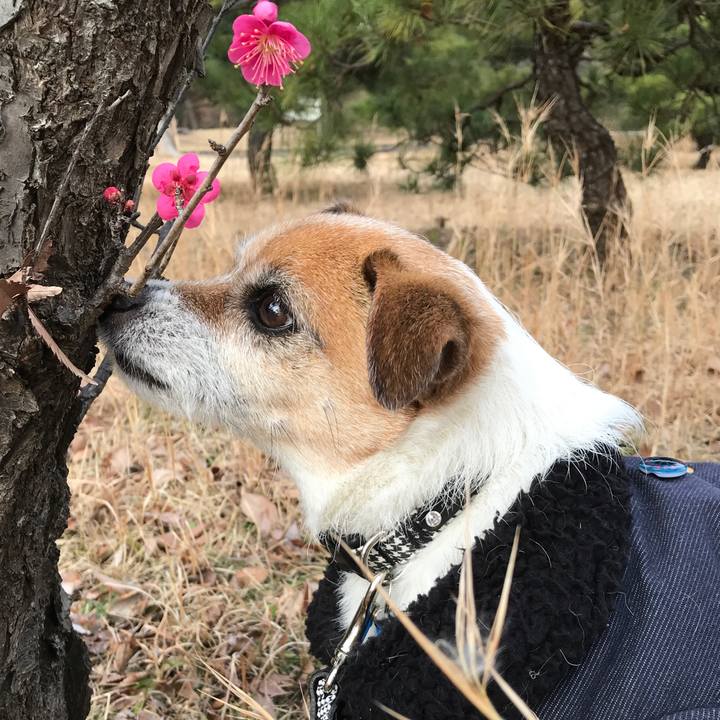 27a0c5bd 64d8 4c71 8b59 3dd302c99048 1580782902096