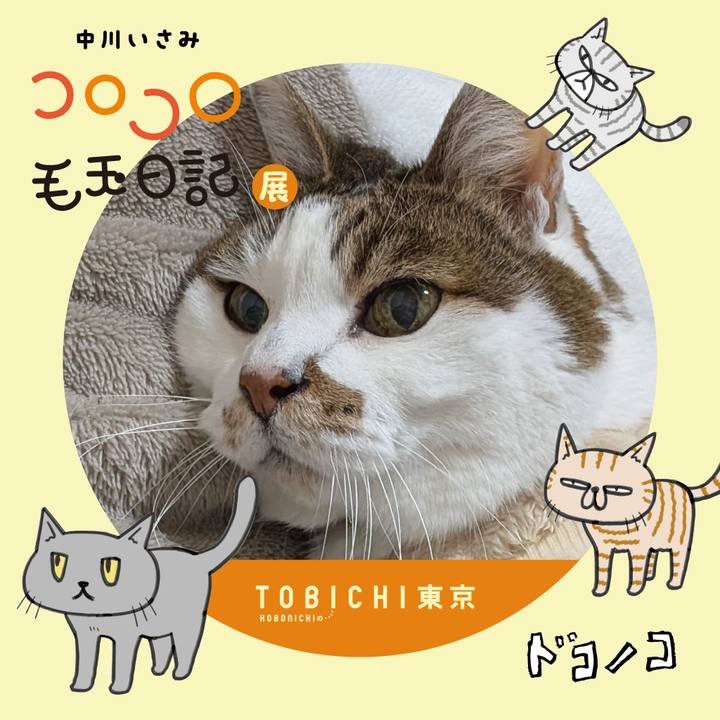 27a0d84e 2229 494e b9bd c99053f48bd2 1740171647537