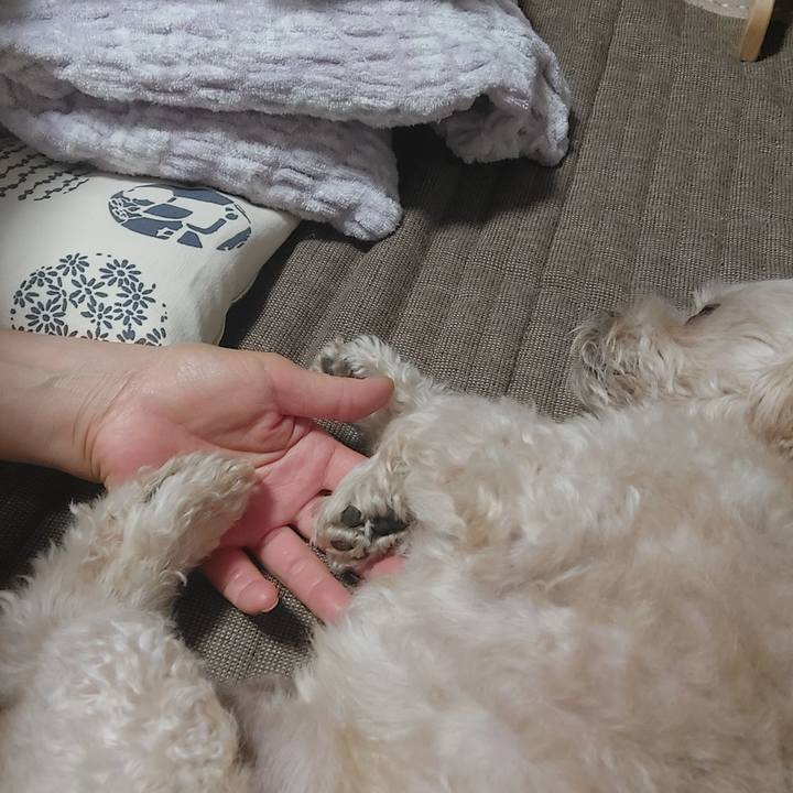 27a0e3a7 f9f1 4391 a513 a6a80684d731 1632971271857